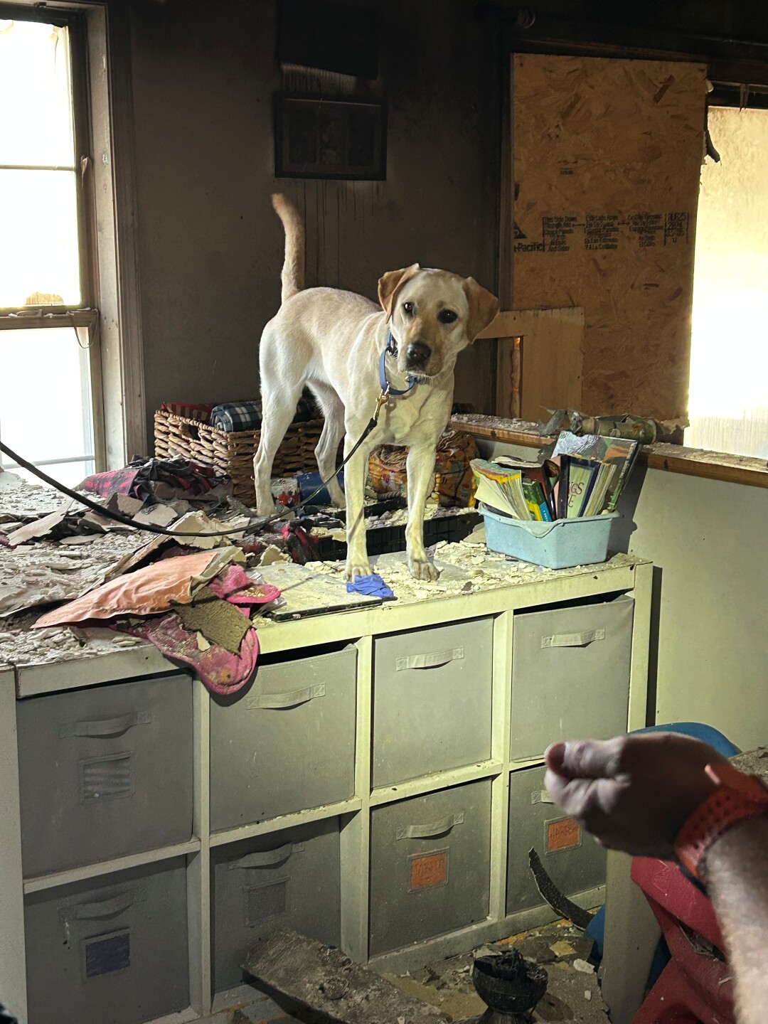 Fire Scene - 2 (3).jpg