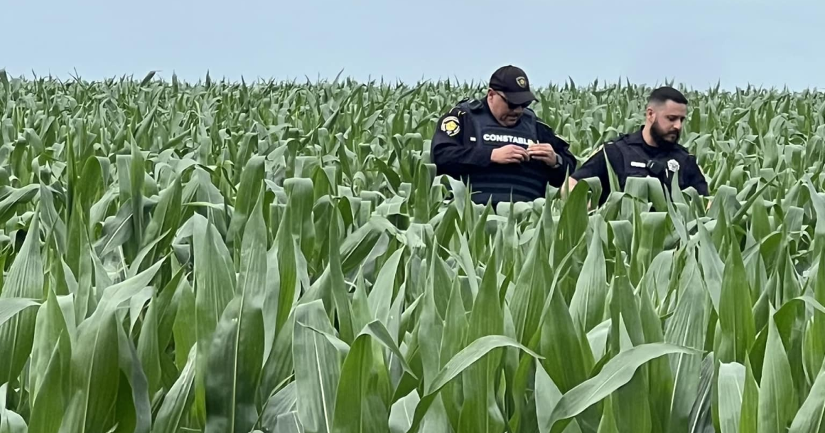 High-speed chase, search through farmland ends with an arrest - Vimarsana News
