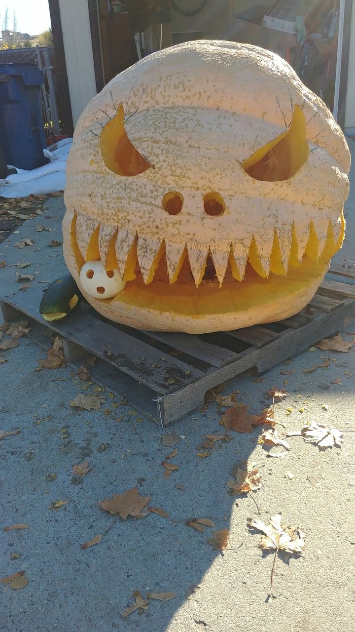 Lolo Pumpkin