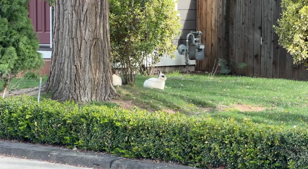 Screenshot 2026-04-08 180949.png