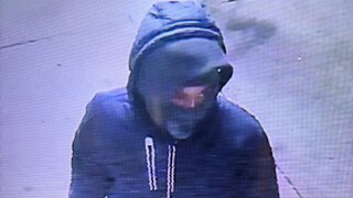 Carytown Tobacco Break-In Suspect