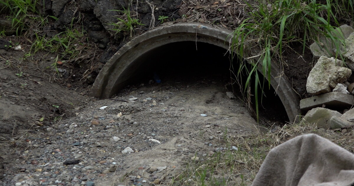 San Diego woman worries about clogged storm drain ahead of incoming rain - Vimarsana News