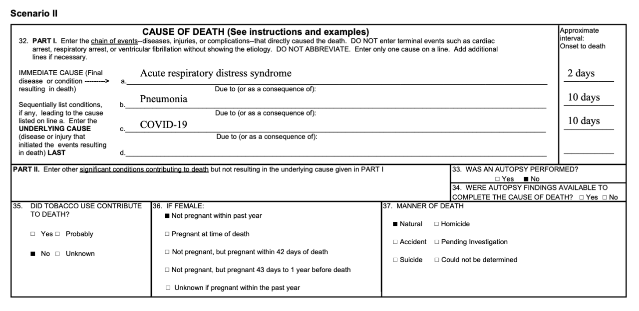 CDC Cause of Death Report Example 2