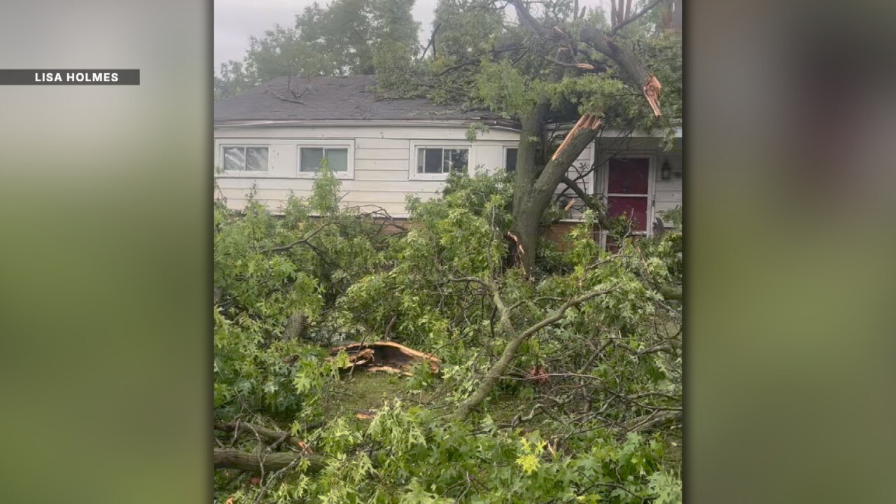 storm damage from aug 19.jpg