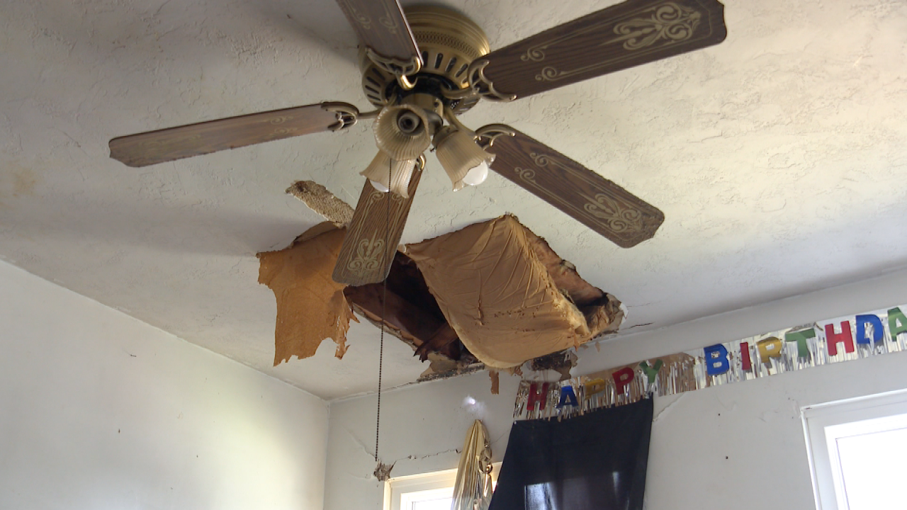 tree in roof.png