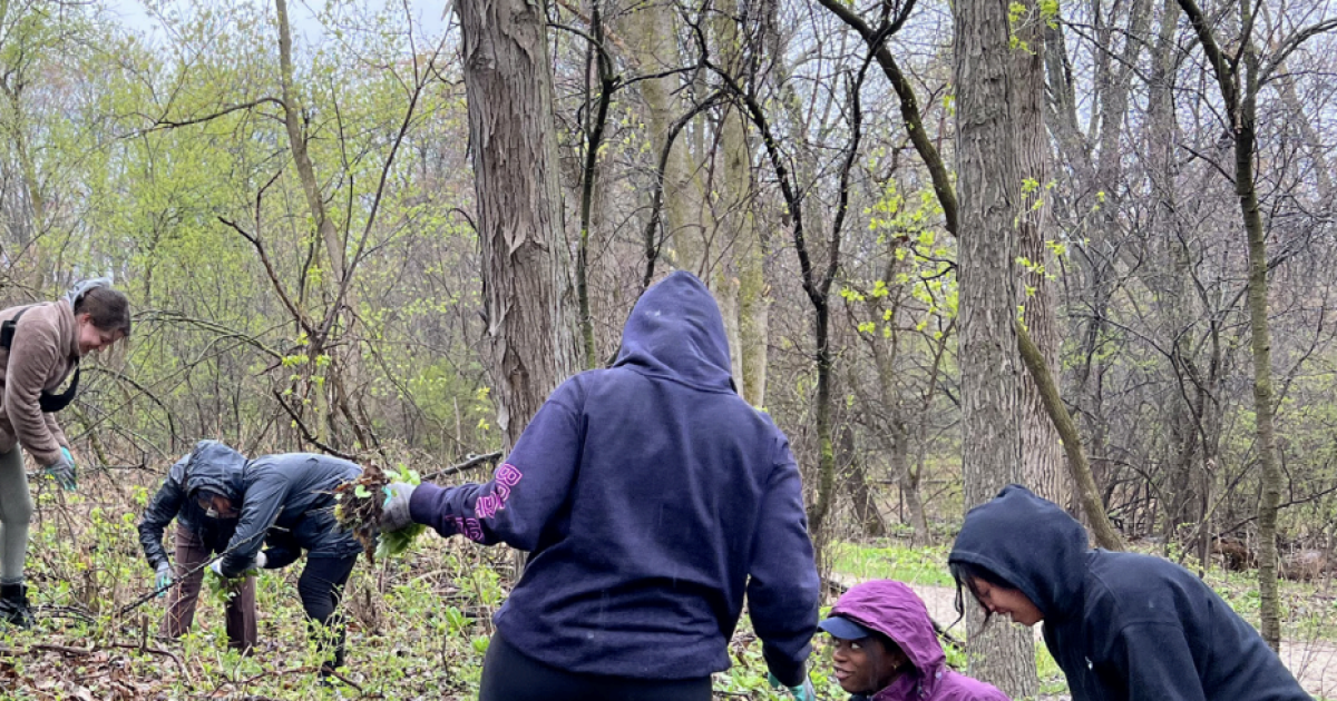 East Lansing To Host First Fall Environmental Stewardship Cleanup This East lansing to host first fall environmental stewardship cleanup this