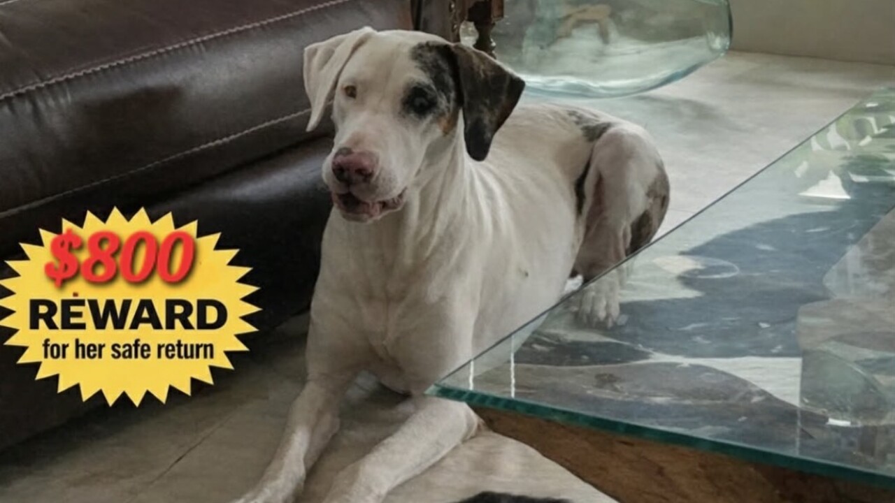 annie single shot.jpg