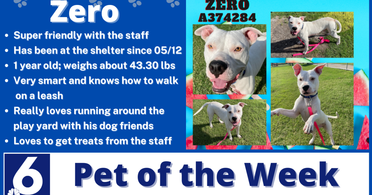Pet of the Week: Zero