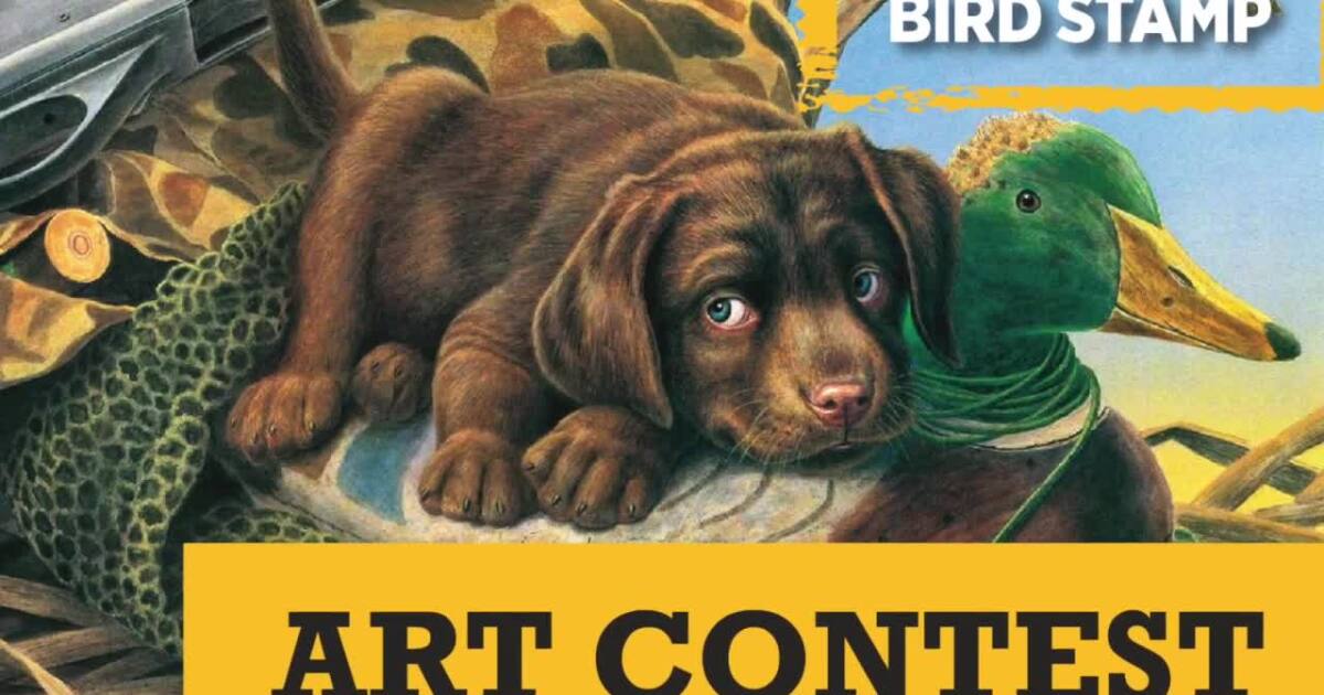 This Week in Fish and Wildlife: Submissions now being accepted for Montana FWP bird stamp contest