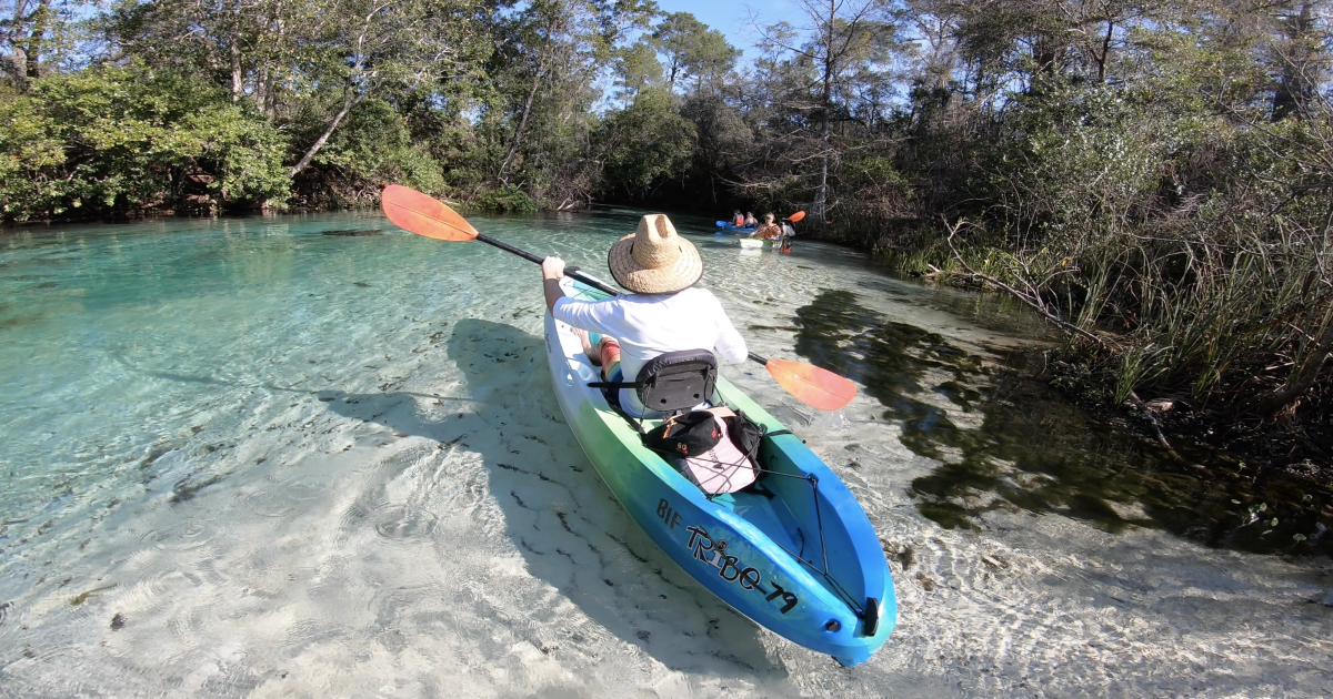 Enjoy Crystal Clear Blue Water At Weeki Wachee Springs State Park