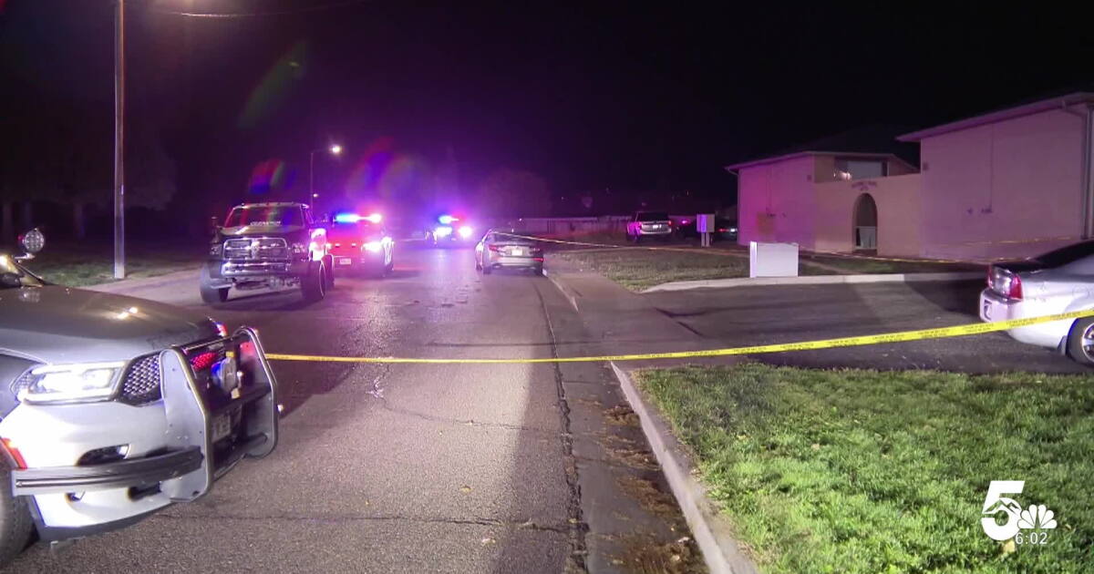 Friendly Fire Pueblo police say two officers wounded in shooting were hit by friendly ...