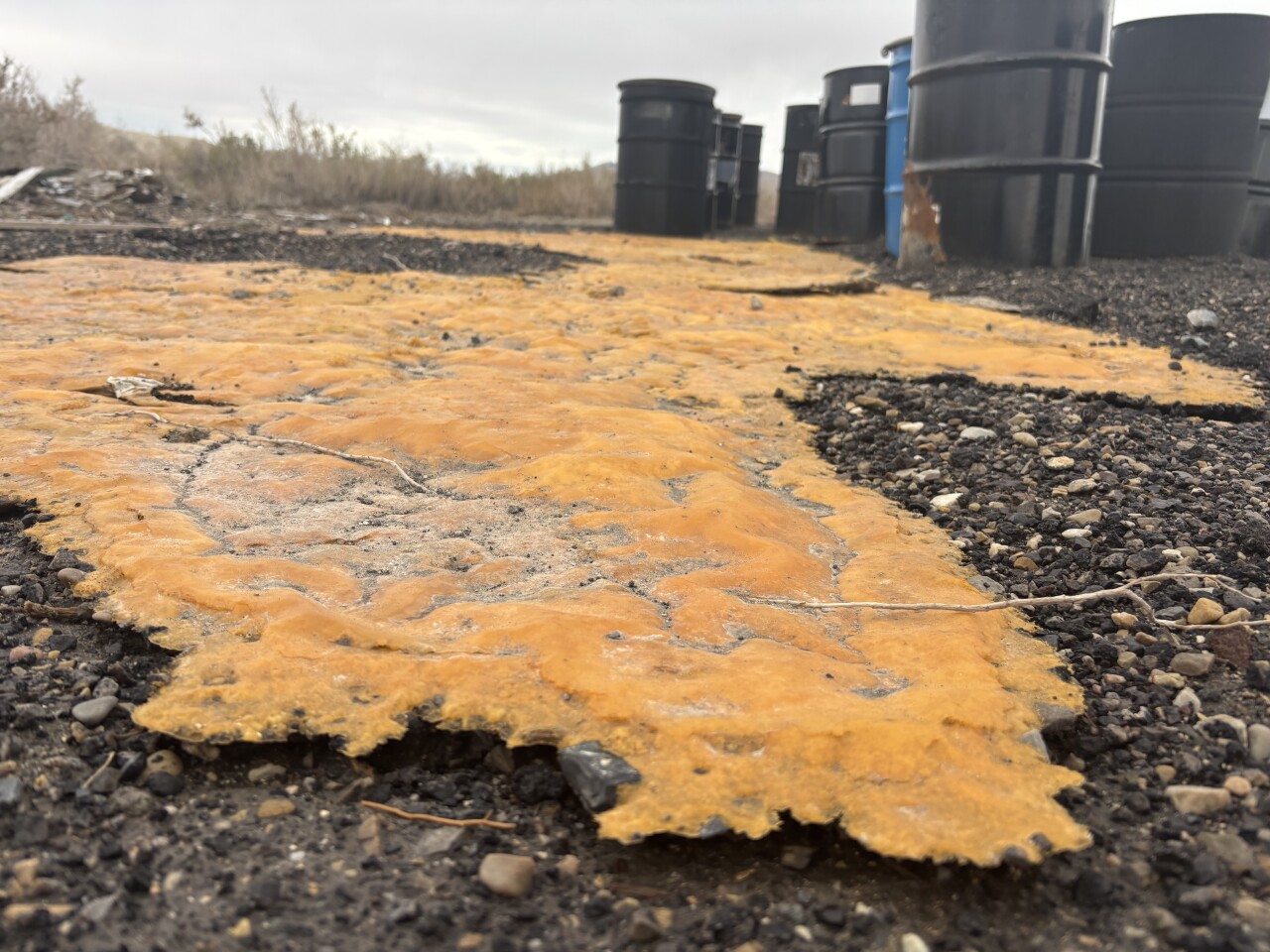 Substance on Stansbury Island