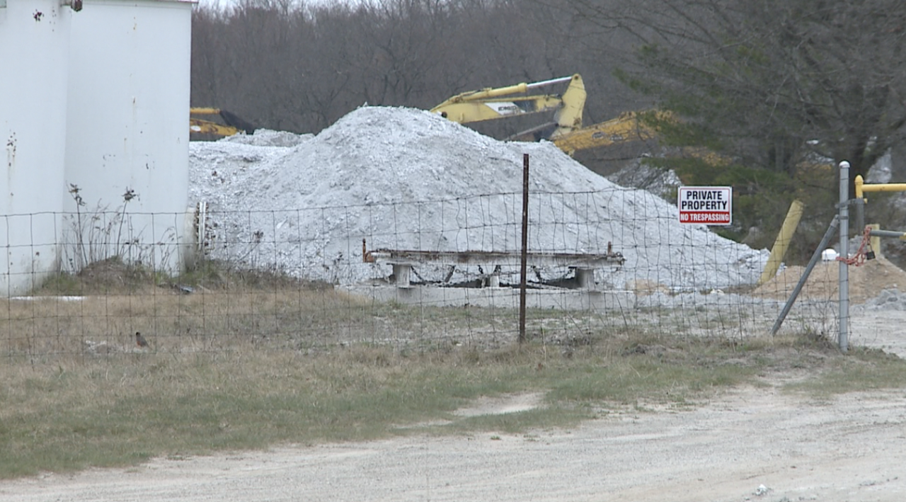 Earth Day Project.png