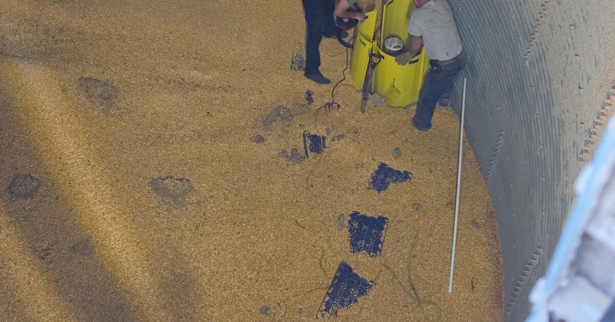Firefighters rescue person trapped in grain silo in Switzerland County