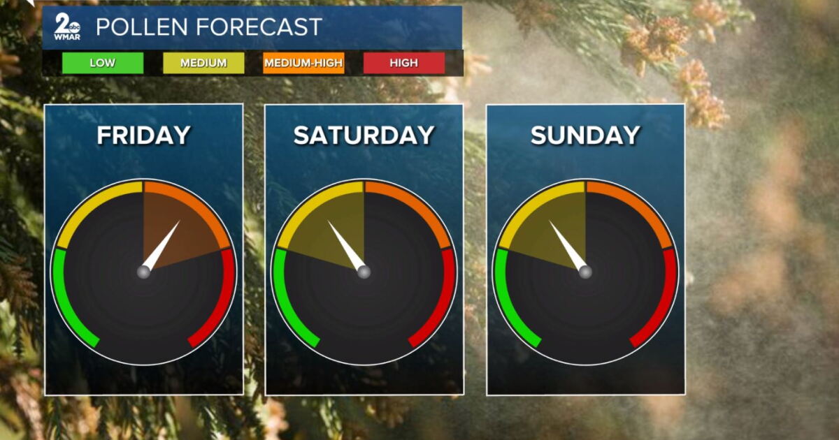 Spring is unofficially here and pollen counts are on the rise