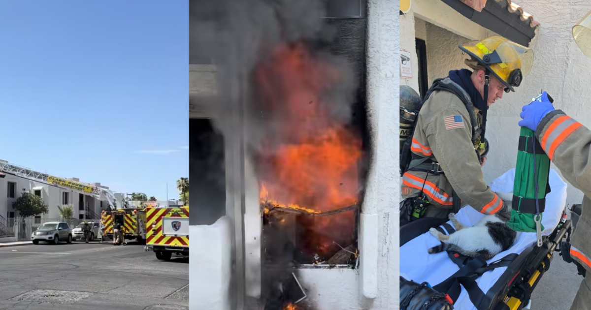 6 adults displaced, 2 cats rescued after fire near Duneville St. and ...