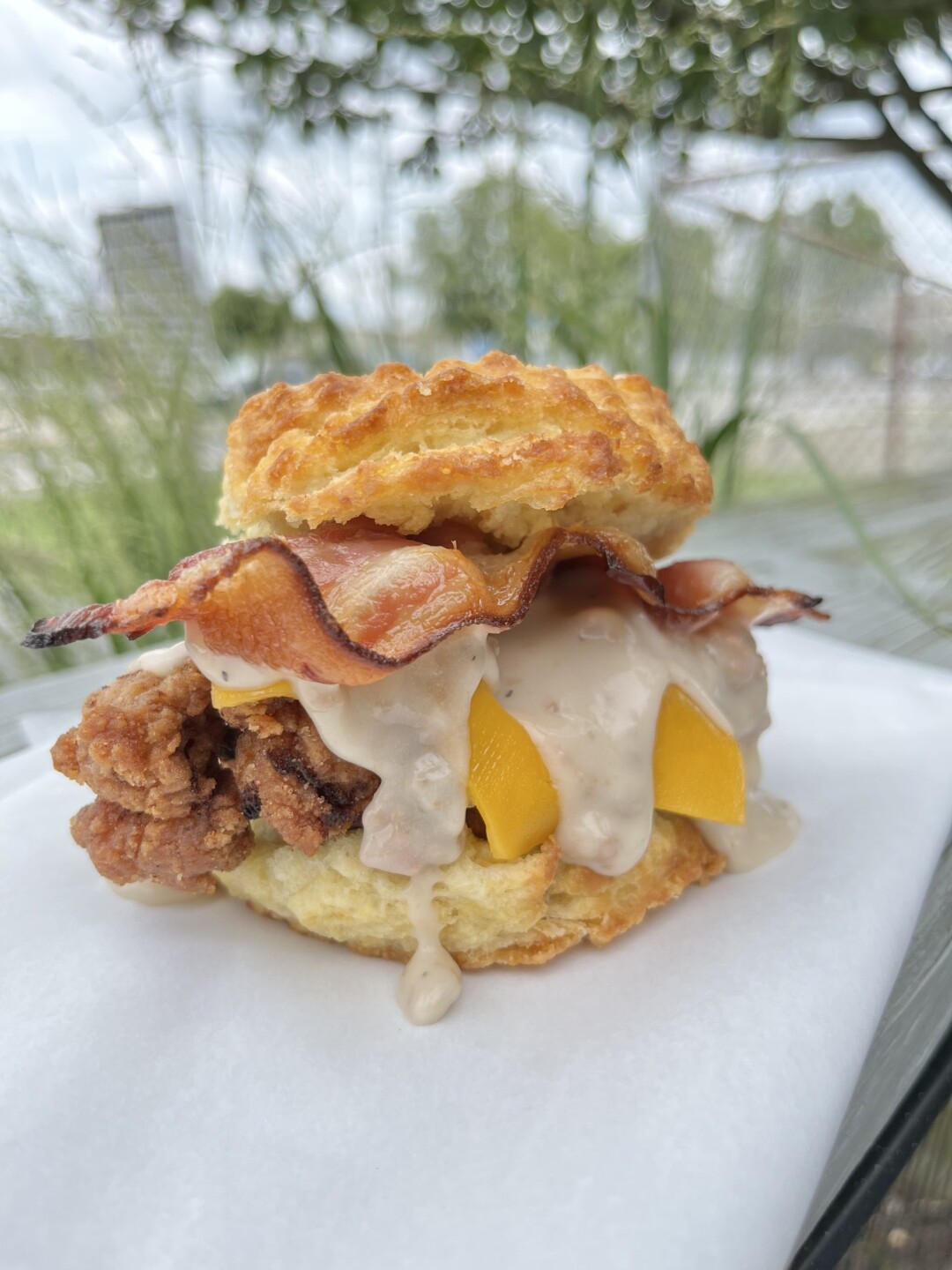 Norfolk's Handsome Biscuit competes for title against N.C., national egg sandwiches