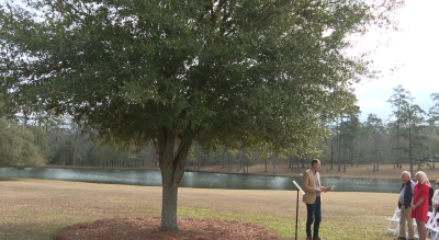 Thomasville's "Baby Big Oak" receives Arbor Day Commemoration