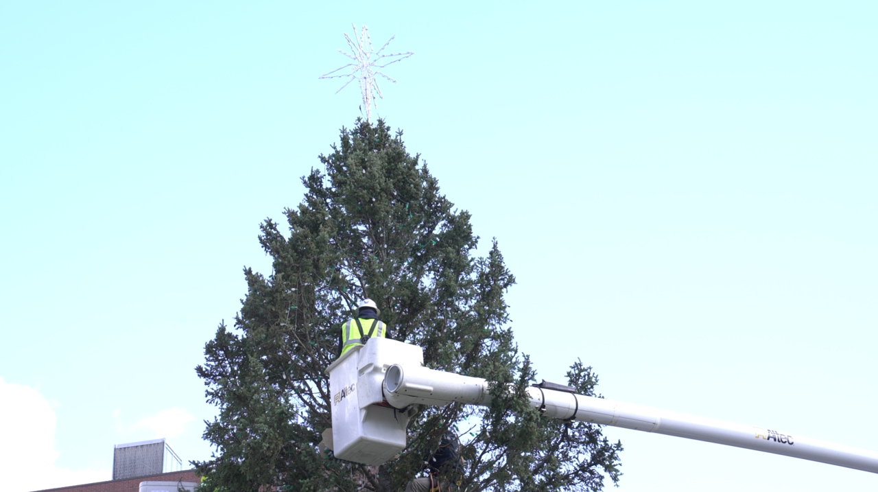 BWL workers wiring the state Christmas tree