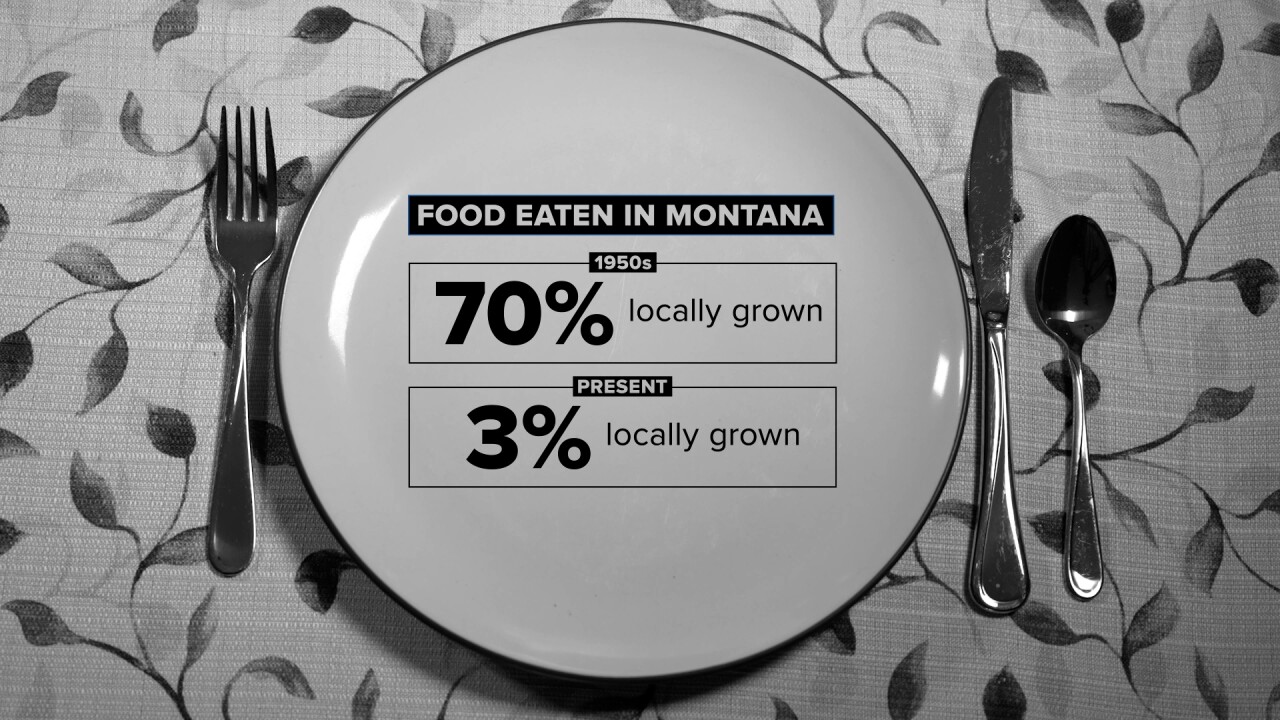 Food Graphic