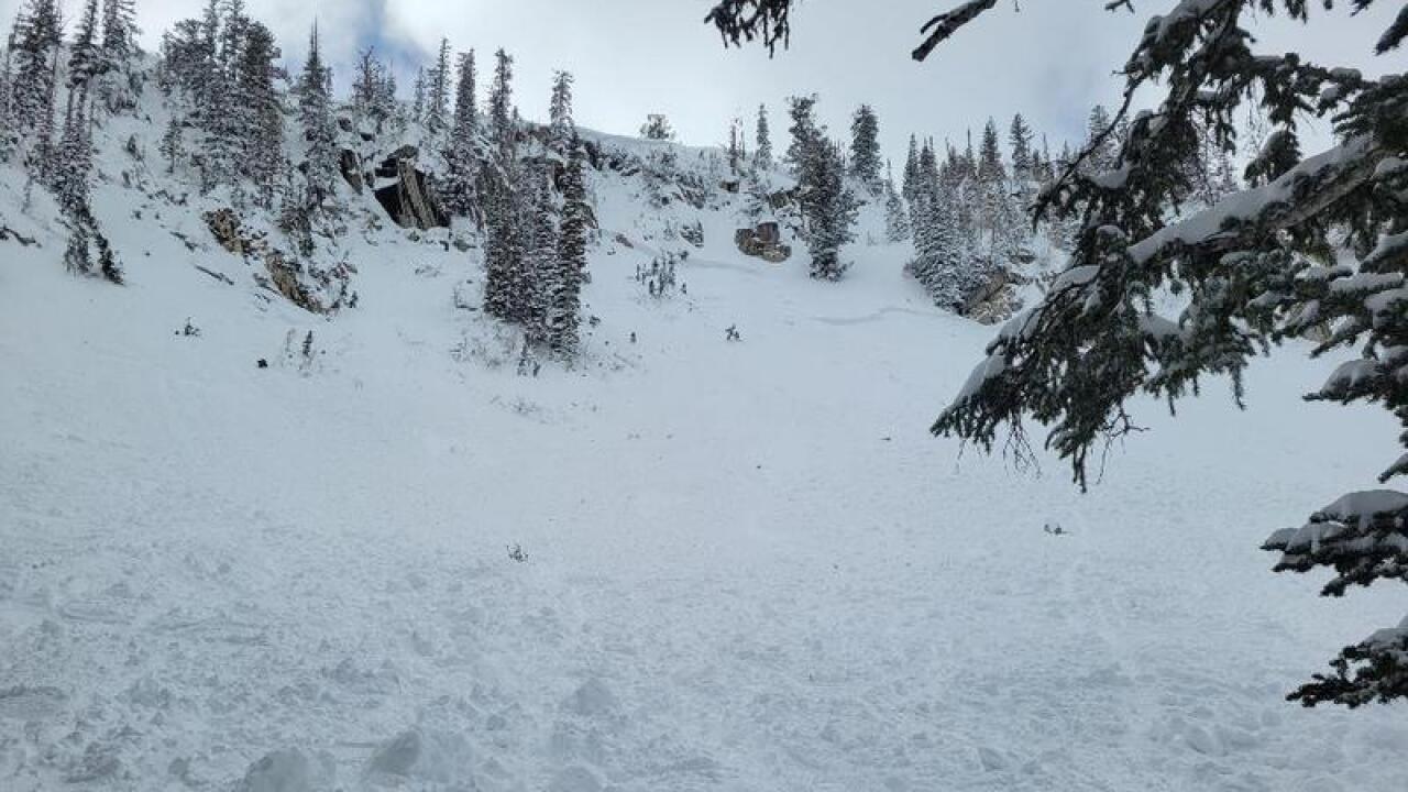 Brighton Avalanche Photo