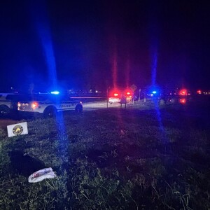 Shooting at Hicks Park
