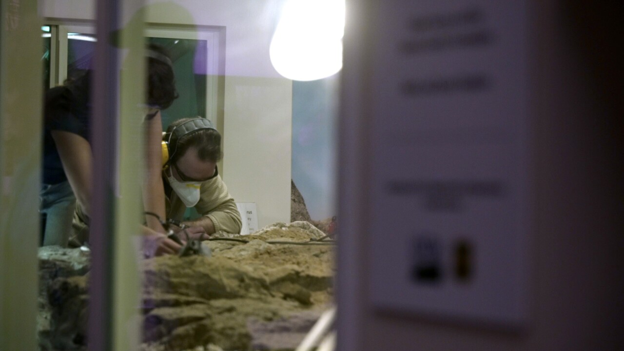 window showing work.jpg