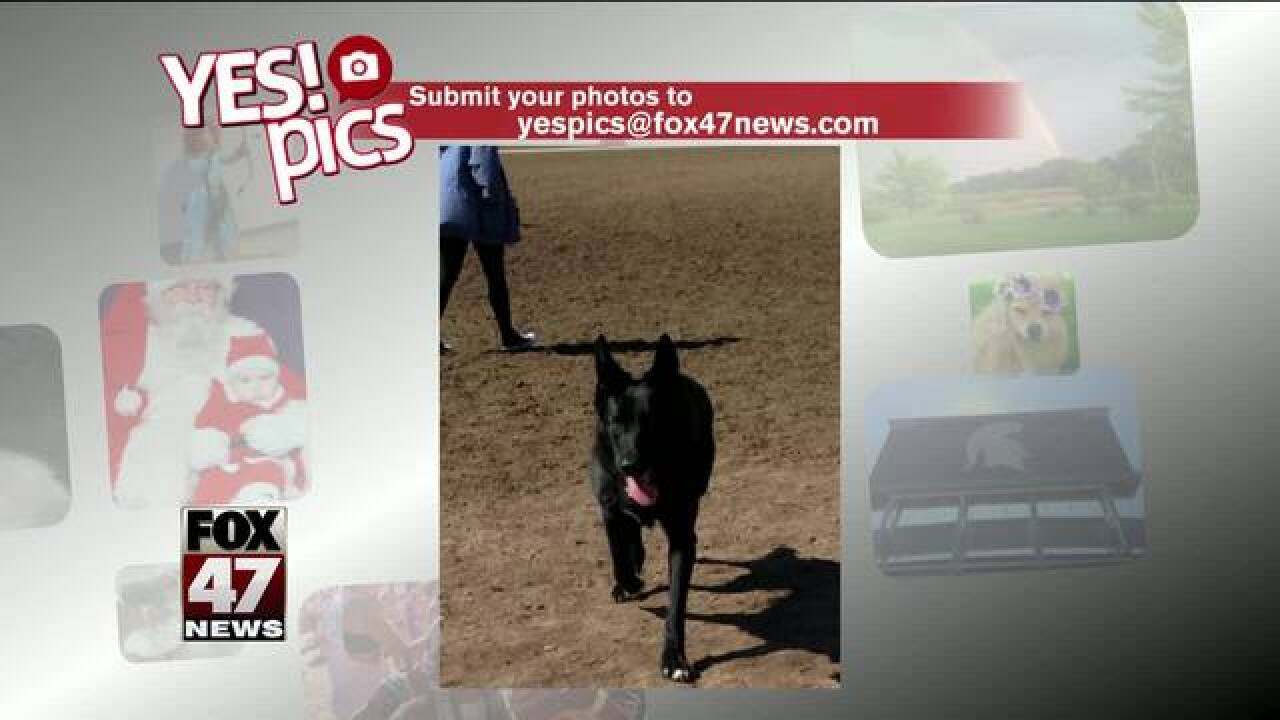 Yes! Pics: 4/30/18