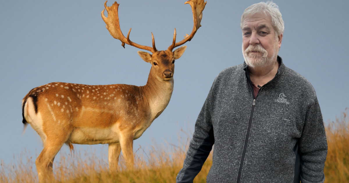 Veteran hunter safety instructor outlines key tips before Wisconsin’s gun deer season