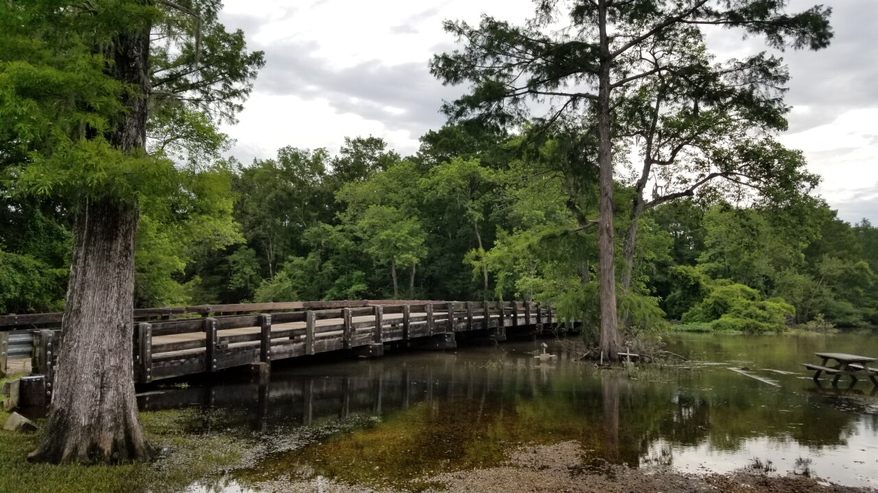 20190612_092211.jpg