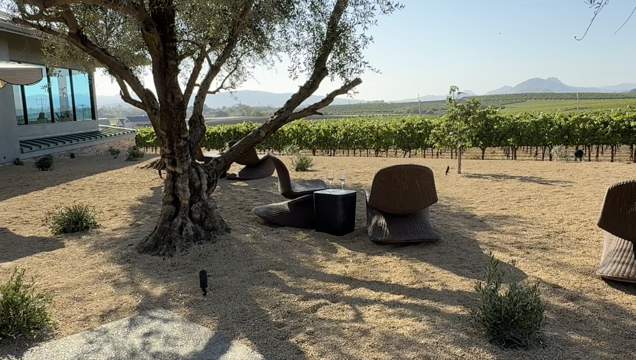 EdnaSLO chaise chairs on front lawn.png