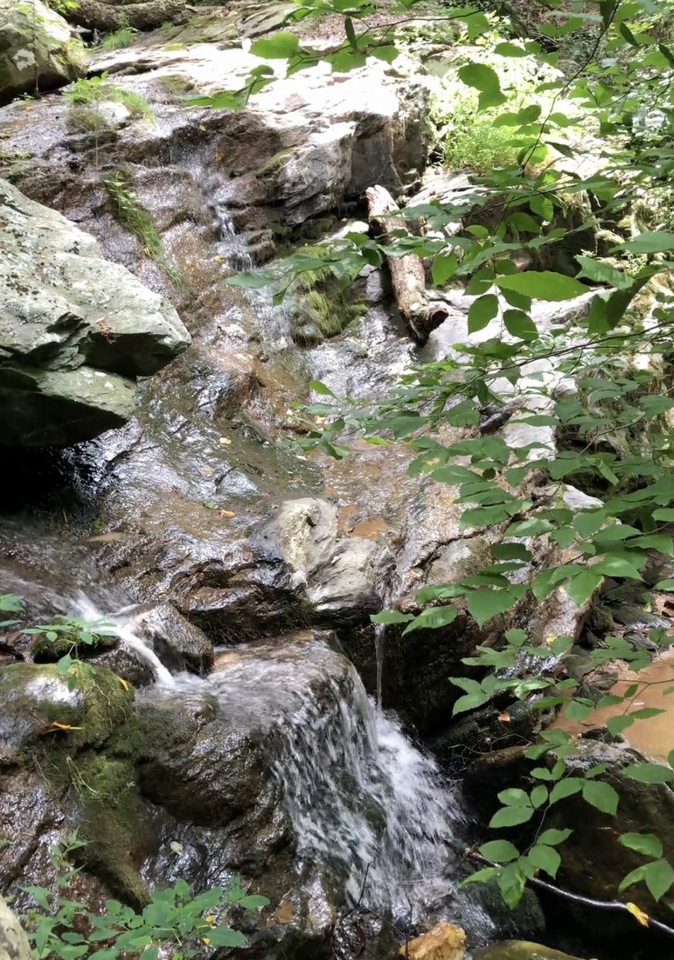 Bog Shack Water Fall