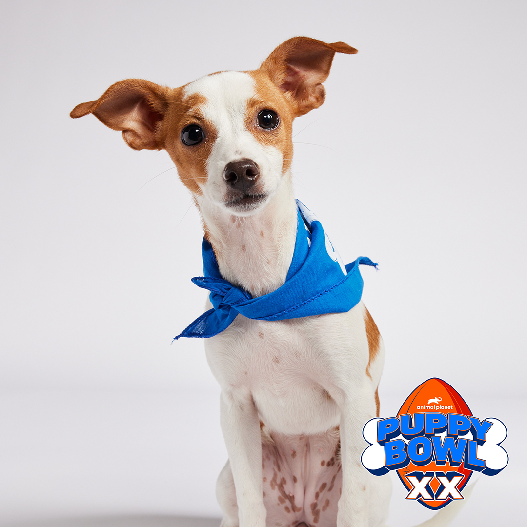 Helen Woodward 2024 Player Hana