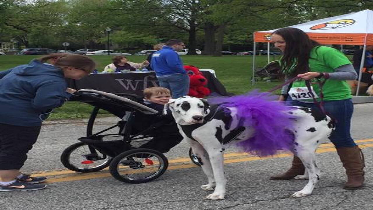 PHOTOS: Indy Humane Mutt Strut