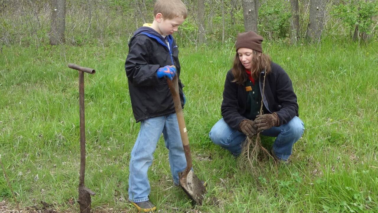 plant a tree.jpg