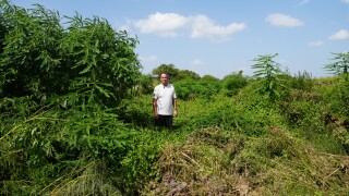 Growing vegetation in Lake Corpus Christi raises safety concerns 