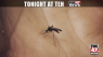 PREVIEW: A cure for Zika?