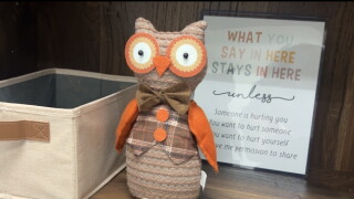 FAU Mental Health Counseling