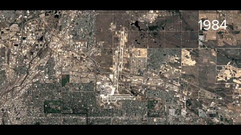Animated GIF-downsized_large (3).gif