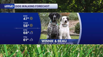 WINNIE & BEAU