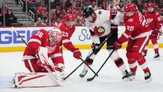 Senators Red Wings Hockey
