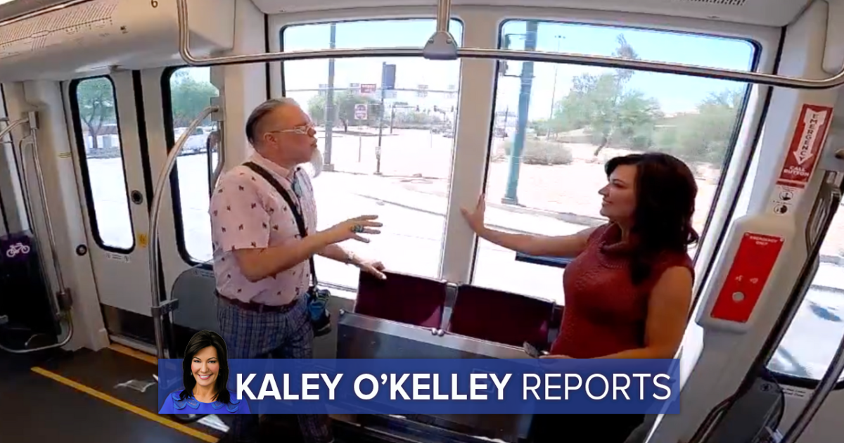 Valley art adventure: Explore dozens of art pieces on affordable light rail tour - Vimarsana News