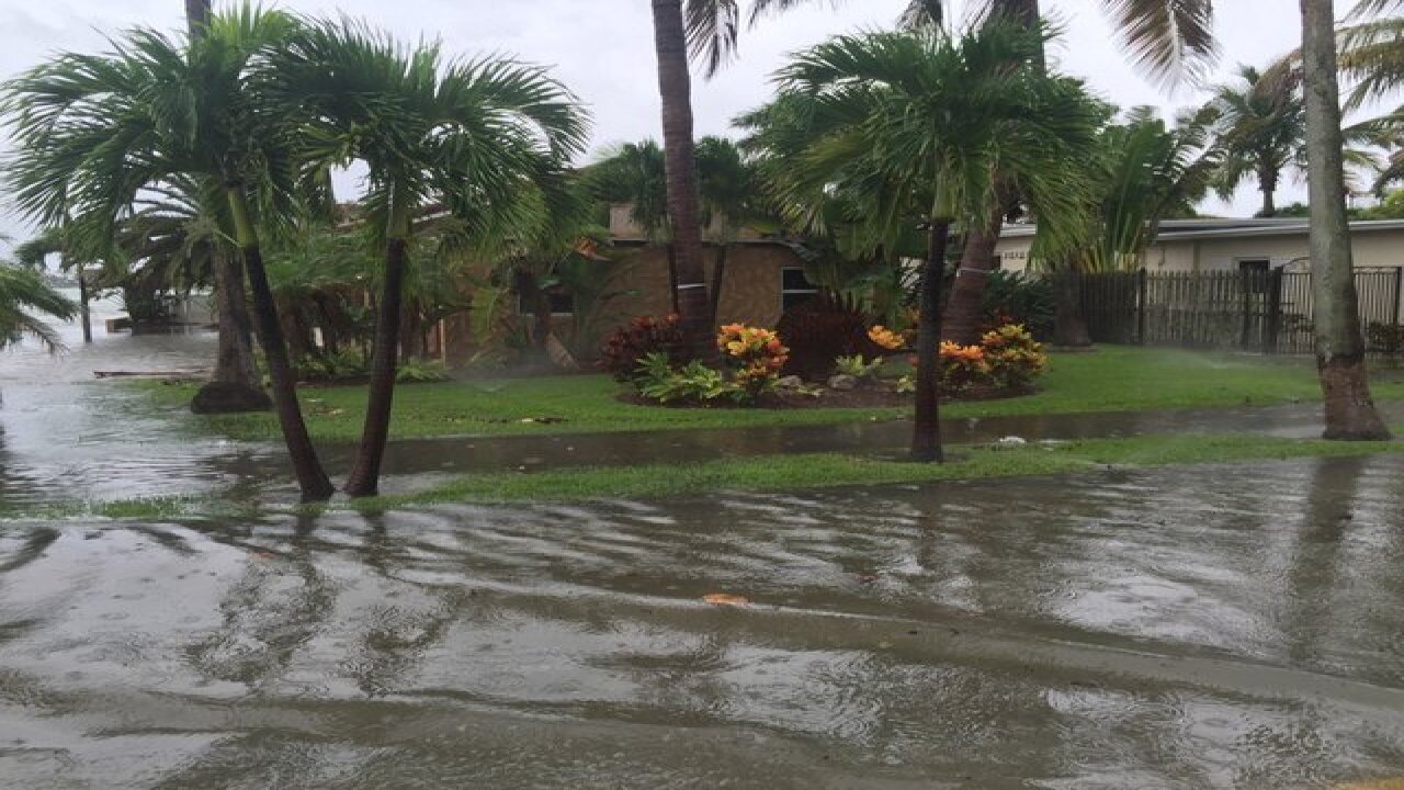 PHOTOS | Tropical system causing flooding