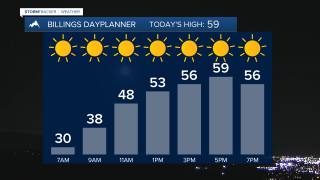 AM Dayplanner.png