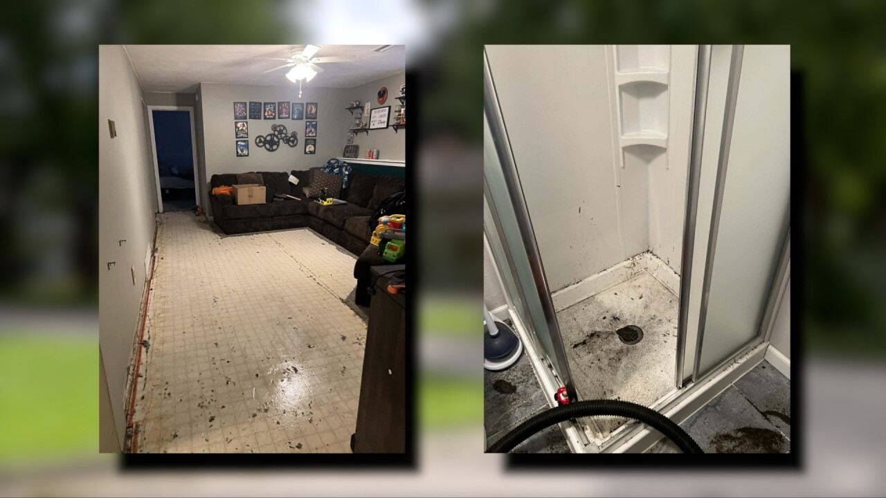 dillon phillips damage.jpg