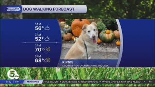News 5 Cleveland