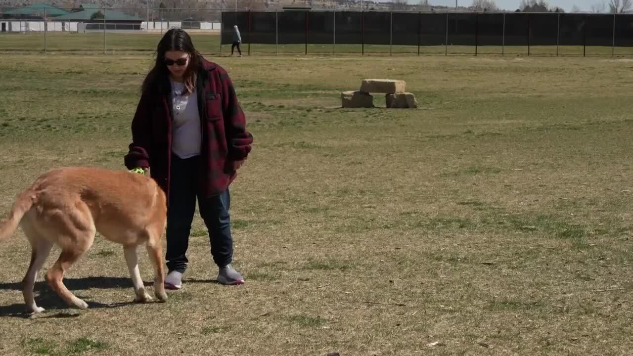 Stafford at Centennial Park