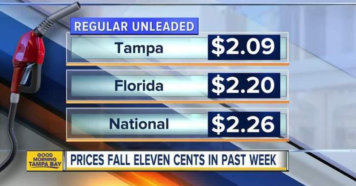 Gas Prices In Florida >> Florida Gas Prices Start Summer At 12 Year Low Gas Prices In Florida >> Florida Gas Prices Start Summer At 12 Year Low