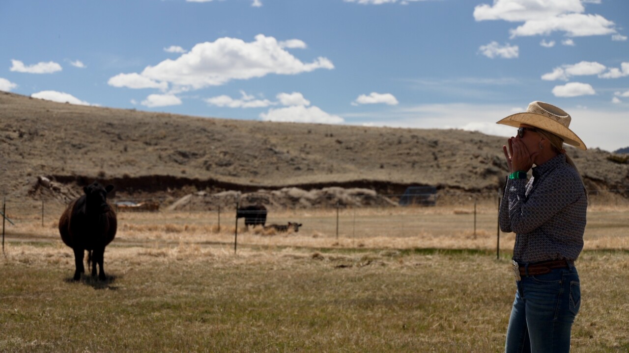 Erin calling out to cows.jpg