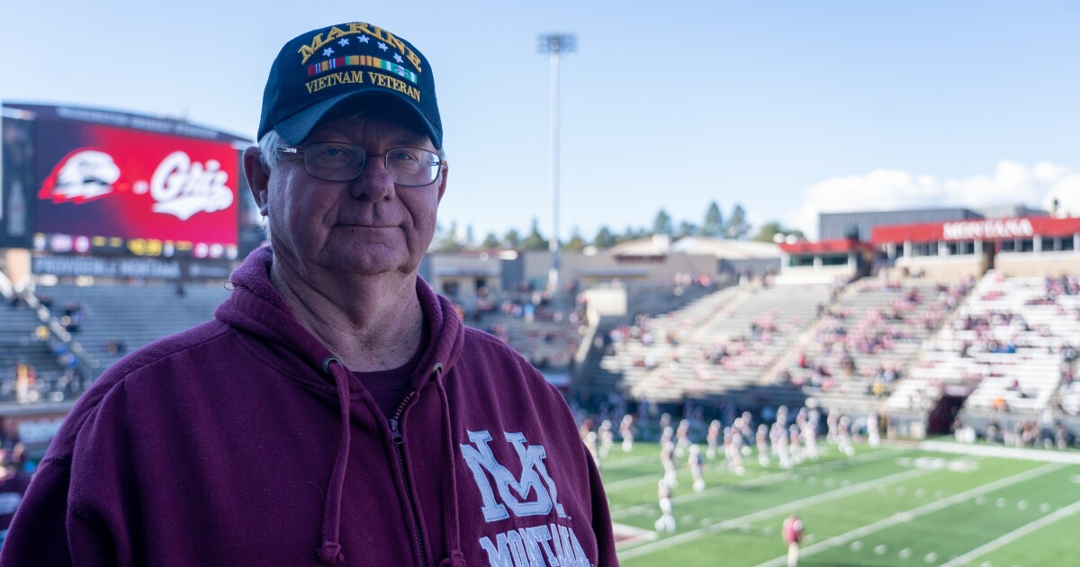 UM tuyệt vời kỷ niệm nửa thế kỷ trò chơi Cat-Griz